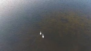 взорвали ядерную бомбу