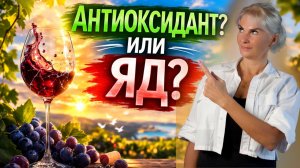 Красное ВИНО продлевает жизнь? Проверяем легенду по фактам