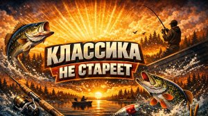 Классика не стареет. Gamakatsu Luxxe Coastline AJ72M Solid.F