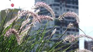 Жилищные меры поддержки