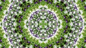 Видеофоны! Видеофон Подснежники 11! Футаж от Киностудии Мудрого Кота Тимофея!