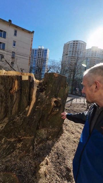 Не справились с пнем