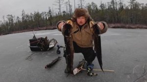 ЛУЧШАЯ РЫБАЛКА СЕЗОНА. ПРОВЕРИЛ ЖЕРЛИЦЫ И НЕ ПОВЕРИЛ СВОИМ ГЛАЗАМ. ЩУКА НА ЖИВЦА