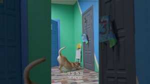 Один день школы пансион Построй свой мир