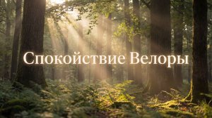 Летнее утро в лесу. 4 часа звуков природы и пения птиц.