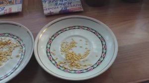 О посеве перцев на рассаду, 3 марта.