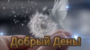 Добрый день! Пусть он будет продуктивным и приятным! ☀️