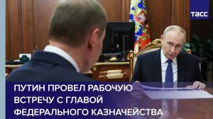 Путин провел рабочую встречу с главой Федерального казначейства