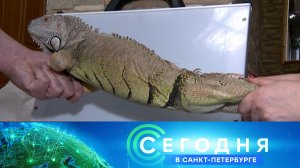 «Сегодня в Санкт-Петербурге»: 3 марта 2026 года