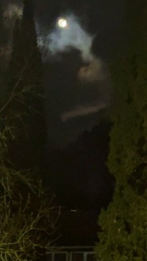 ПОЛНОЛУНИЕ