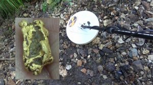 Нашёл Золотой самородок металлоискателем!