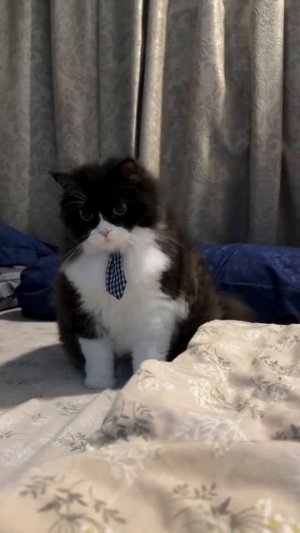 Всем доброе утро 😍🥰😘