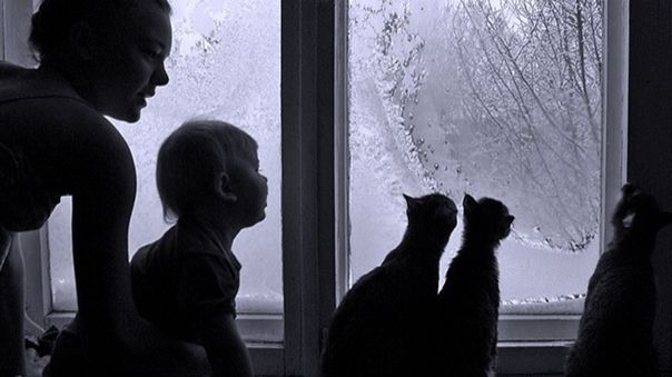 Мы в окошко зиму  смотрим