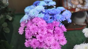 Как в Анапе правильно выбрать букет к 8 Марта: инструкция по применению