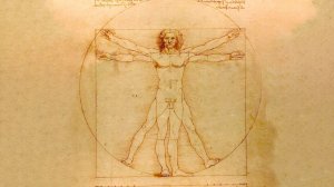 Сакральная геометрия тела. Золотое сечение. LNo9-2026. ВселеннаяЯ. #золотоесечение #геометриятела