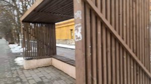 Моих красавиц ждут и примут с радостью. 03.03.2026