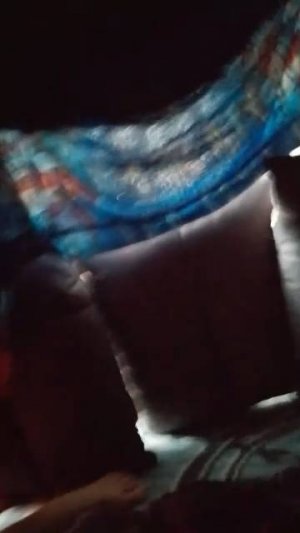 дом из одеял и подушек