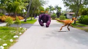 Яйцо динозавра — Майя играет дома