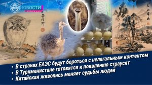 Новости Большой Азии (выпуск 1120): Цифровое пространство, страусиная ферма, магия живописи