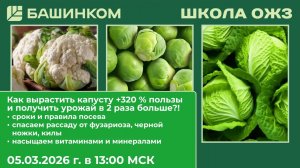 Как вырастить капусту полезнее на 320% и получить урожай в 2 раза больше?! Это реально!