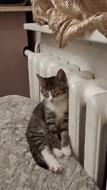 А как вы провели свой выходной