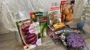 01.03.2026 СЕЮ: томат, лук в улитку, лобелию на палец, разбор всходов