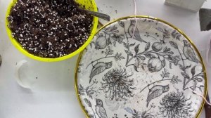 Большая пересадка-болталка 7. За 03.03.26.