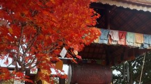 Храм Леди Будды