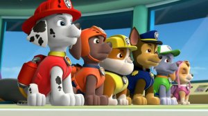 Щенячий патруль. Щенки спасатели. Щенячий патруль Маршалл. Щенячий патруль Крепыш. Гончик. Рокки.