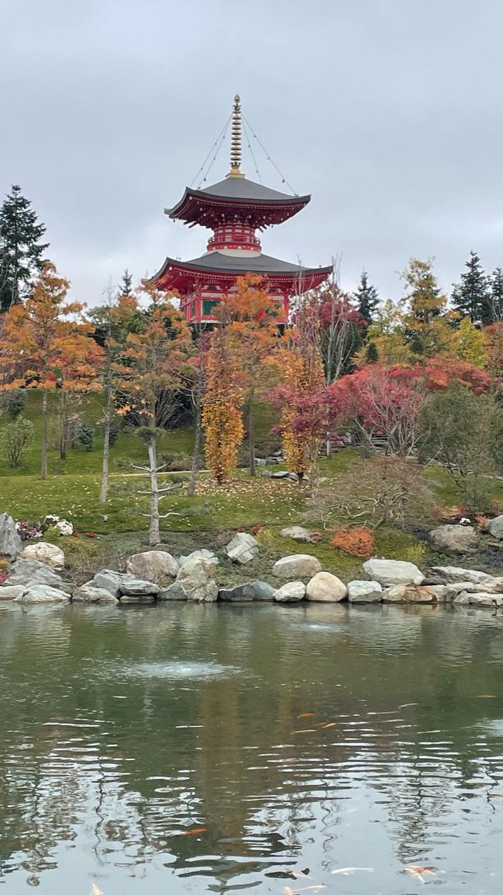Японский сад, парк Галицкого, парк Краснодар