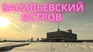 Васильевский остров, Наличная улица