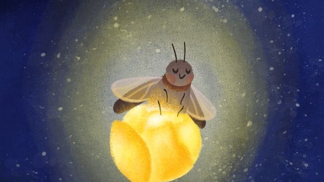 Анонс ближайших эфиров.Направление нашего служения