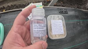 Искореняющая обработка винограда после сбора урожая 2025 г.