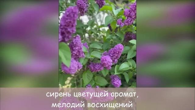 колдунья смотреть онлайн