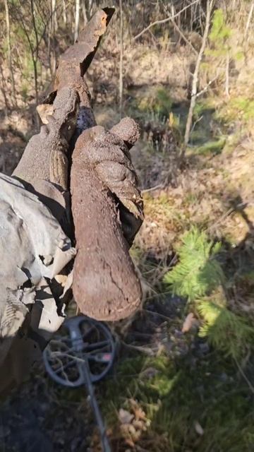 Вот так болото сохраняет древесину, но не щадит железо #Shorts #коп #война #ww2