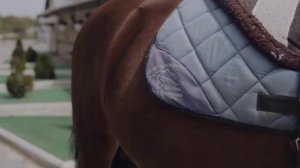 Ставрополь. Иппотерапия