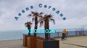 Анапа Сегодня 03.03.2026