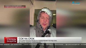 Сюжет канал Санкт-Петербург, программа "Степень защиты"