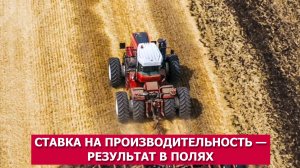 Ставка на производительность — результат в полях