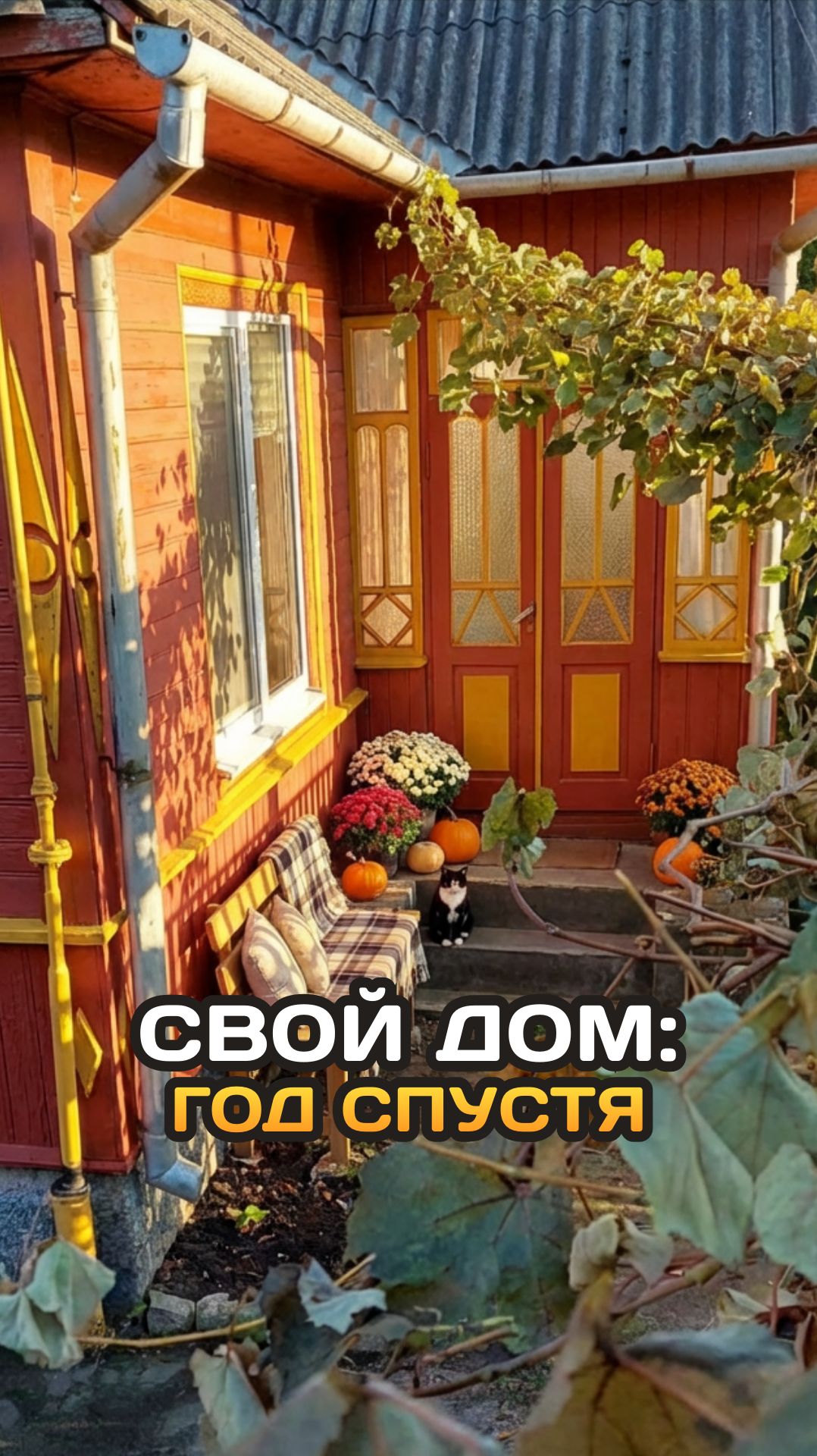 Что мы успели за год...