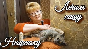 Лечим нашу Нюшеньку.