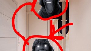 Если увидишь Сикс север в своей квартире то беги