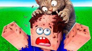 НАМ ПОДАРИЛИ БЕШЕНОГО КОТА В МАЙНКРАФТ!😱