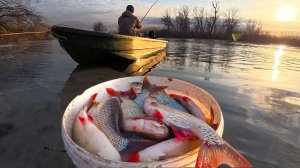 ЯМА ЗАБИТА КРУПНОЙ КРАСНОПЁРКОЙ! ПЕРВАЯ ВЕСЕННЯЯ РЫБАЛКА НА ПОПЛАВОК. Сумасшедший клёв в Астрахани.