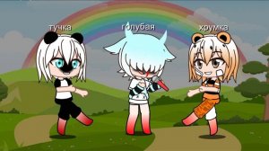 морские свинки: японские песенки