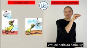 Лексика/объяснение "Цыплёнок и утёнок"