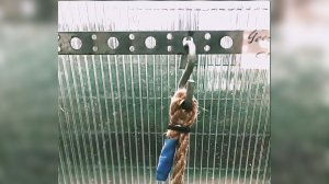 Как сделать подвязки для томатов в теплице.