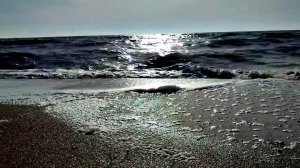 Ейск. Азовское море. Посеяла помидоры, рассадила перцы. Конёк. Обрывы.