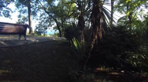 Поездка в Дендрарий Сочи 2024 !!!