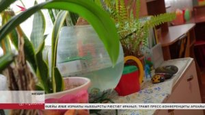 2026 азы Мӕздӕджы бындуронӕй сцалцӕг кӕндзысты сывӕллӕтты рӕвдауӕндон "Забава"